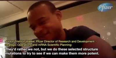 Pfizer director of research and development