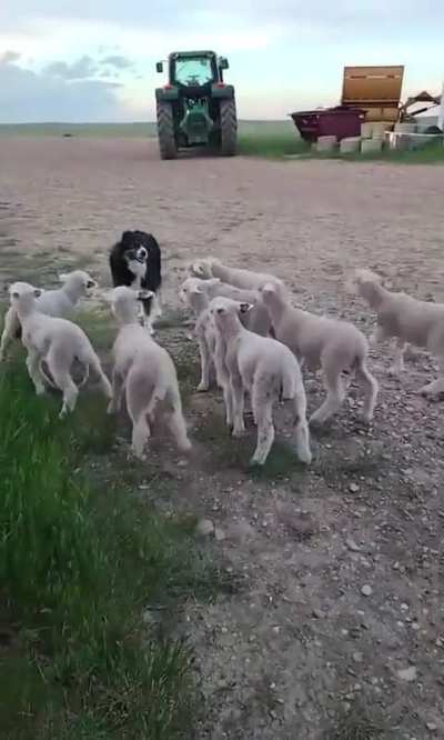 Found A Jedi! (It Counts!)