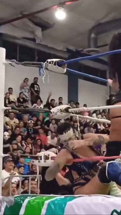 Lady Maravilla stinkface different angle 9/20/25