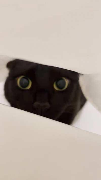 Scariest moment of my life