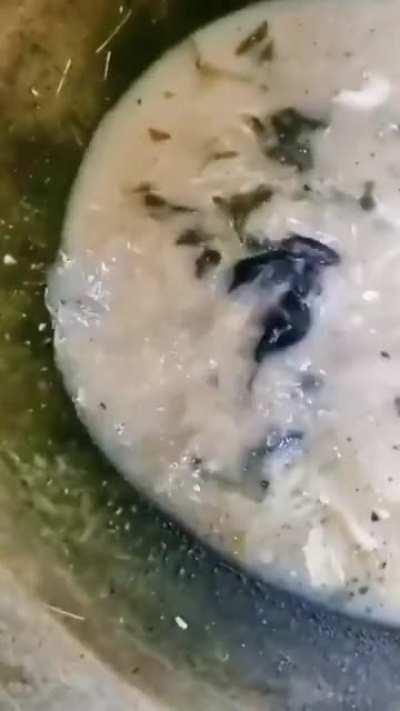 presented without comment