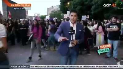 Mexican reporter gets sucker punched and KO'd during Women's March