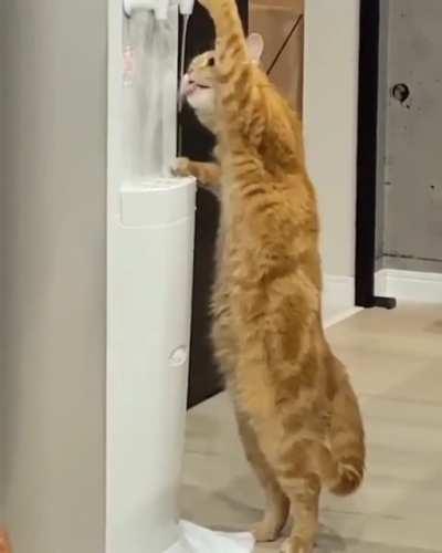 M so thirsty.... num num nummmm...