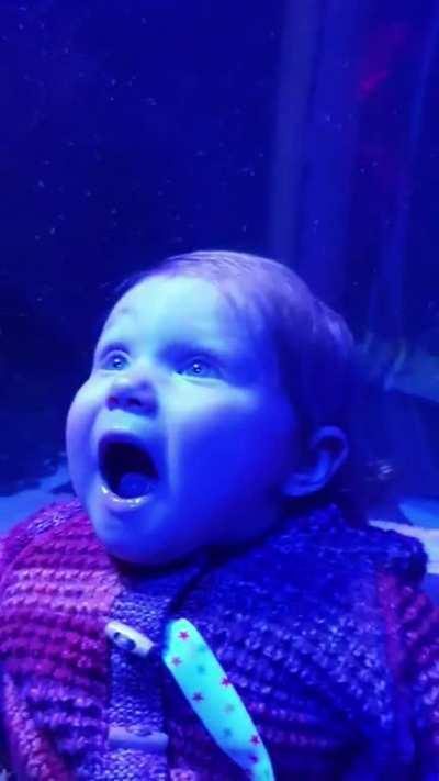First visit to the aquarium and its safe to say, I think it blew her mind.
