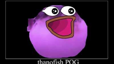 I got invited in a thanofish discord so I made this meme for them