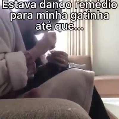 a gata foi de Reilings