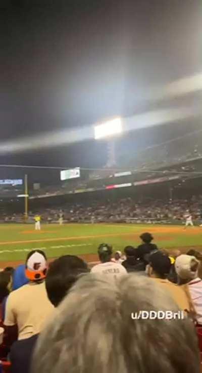Took them out at my first time at Fenway park😏⚾️ [GIF]