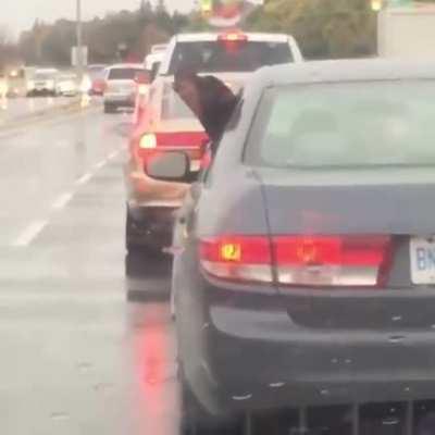 The goodest boi saving the owner from rain