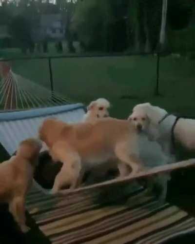 Might be a little harder