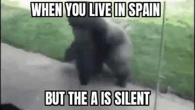 Monke beyblade go brrrr