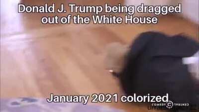 Got bored and made this shit lol