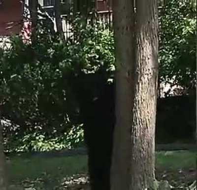 You can barely see him.