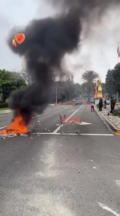 Protesters burn American flag at Home Depot ICE raid in Paramount, CA