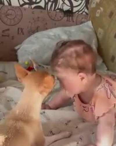 2 Innocents Understand each other's Language