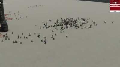 Universal Giantess - Stomp Pit