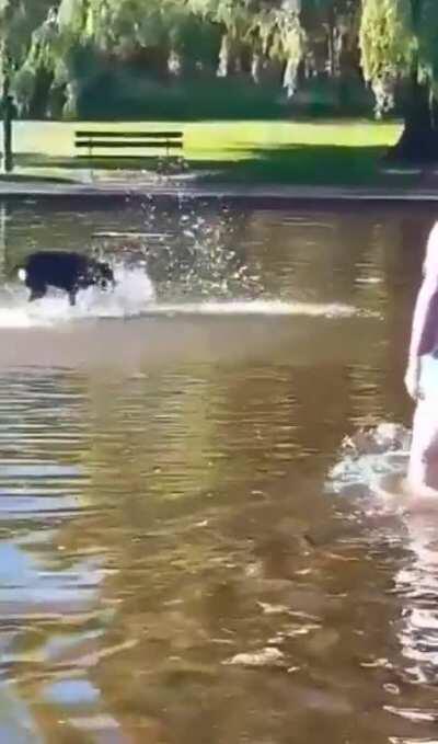 At first i thought he lost the bet