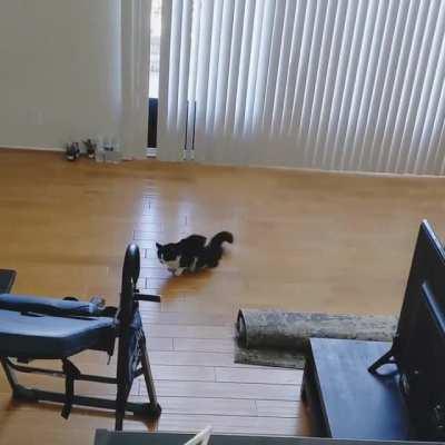 New House, New Greebles