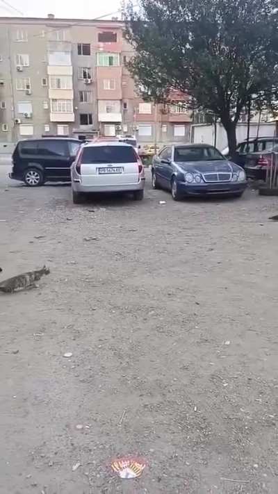 Bro must have been startled