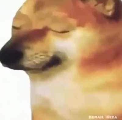 Genre: score or orchestral, found on twitter