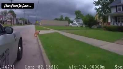 Body Cam: Ohio Police Officer, Elliott Palmer, Shoots Harmless Golden Retriever Dead In Front Of Distraught Family