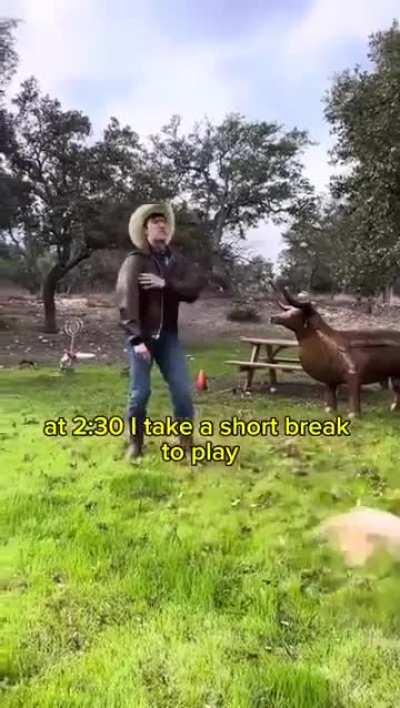 Life as an American as seen by the rest of the world