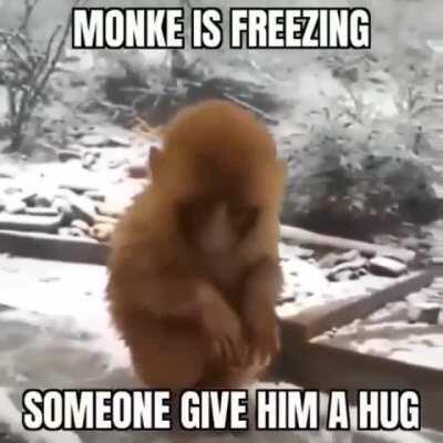 Cold monke