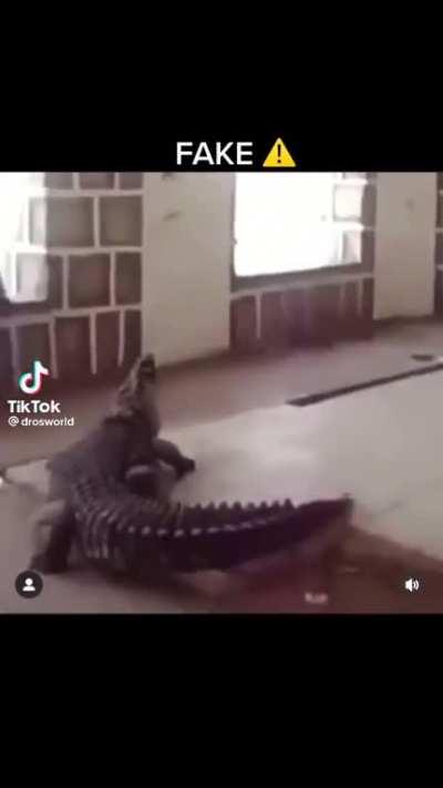 I wish I knew a croc+skating pin