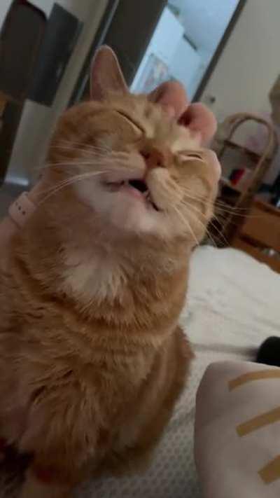 Paulo turned 5 yesterday!!!