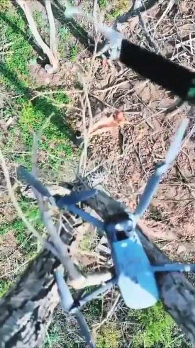 Ukrainian Drone gets rescued 