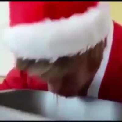 Jediiiit to je kjuuuuut😍😍😍