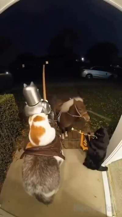 Eles tão se organizando pra lutar contra a Karen da madrugada