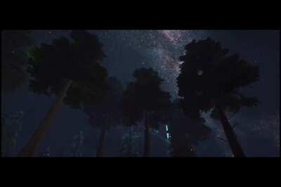 Some shots from The Center.