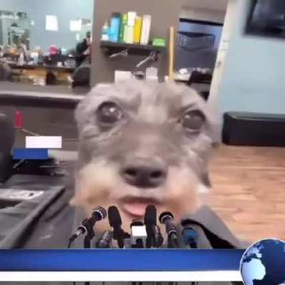 What's it like to hold a gyat of someone you love?