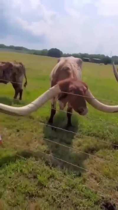 Primeiro encontro nacional dos motoqueiros de Ran-Dam-Dam-Dam