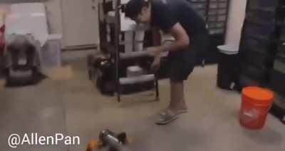 They are giving snake their legs back. Next up an AI “Brain”.