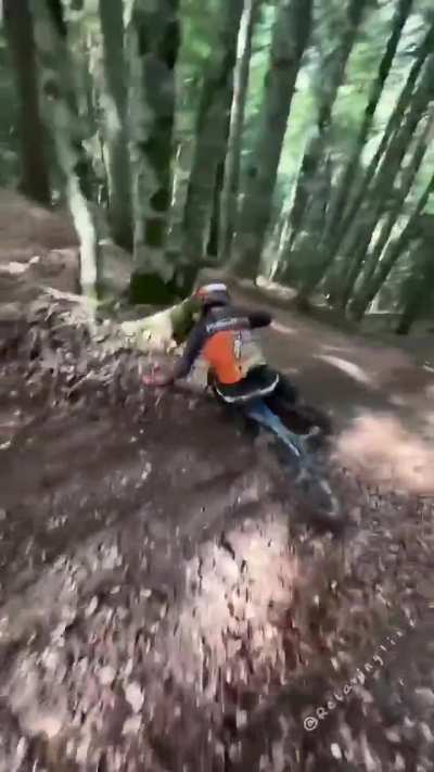 When life aligns perfectly, even if just for a moment!