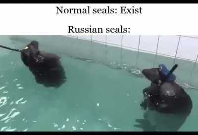 Seal