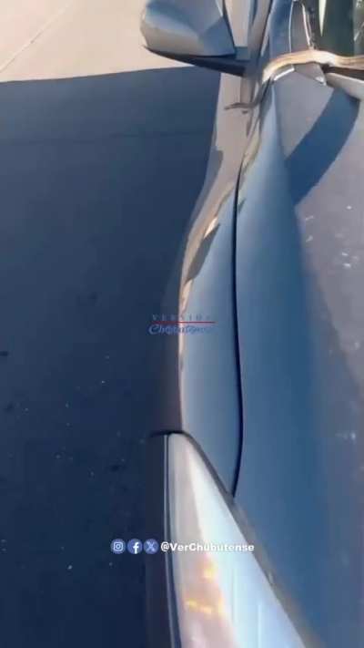 Andaban de paseo por Trelew y les salió un reptil del motor del vehículo