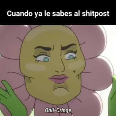 Webadas - Video #0348