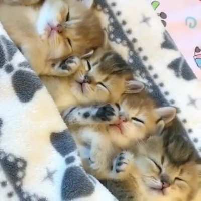 Good night😘😴💤