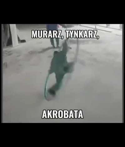 Meanwhile na budowie: