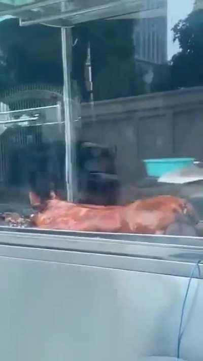 Commander, get behind me! I'll protect you!