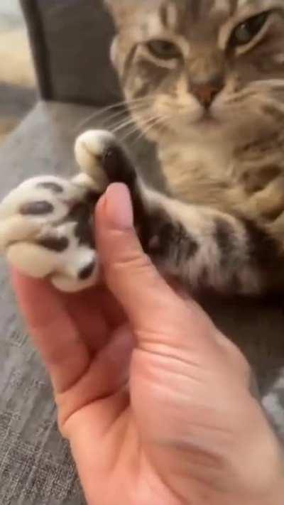 That would be enough for me