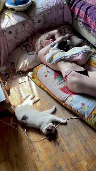 breed me in my sleep ?