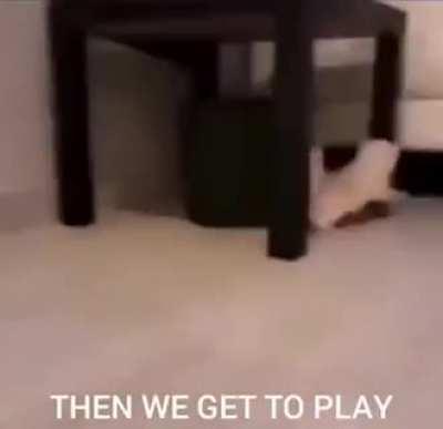 Do you want a banana?