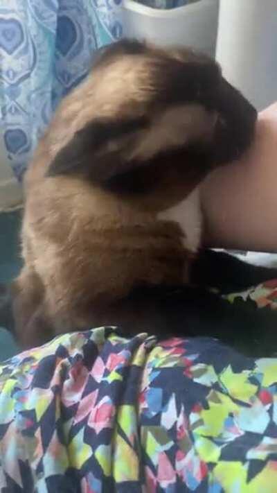 I thought my roommate&rsquo;s cat was shy. Turns out I was wrong.