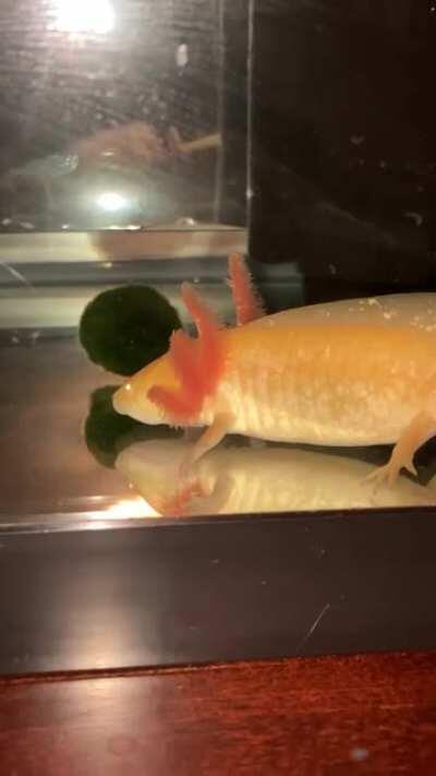 I think I hurt her feelings... these juveniles man. 5 months going on 15. Sheesh.