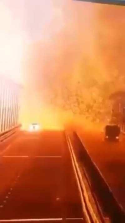 This little guy did so much for Ukraine