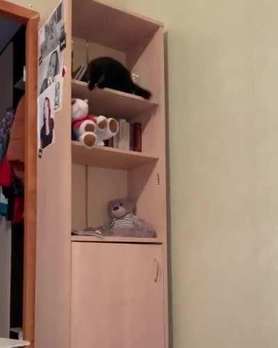 Expert hider of the reindeer.