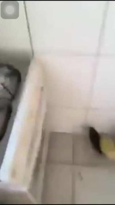 Pamela velha que faz comida boa 😋😋😘